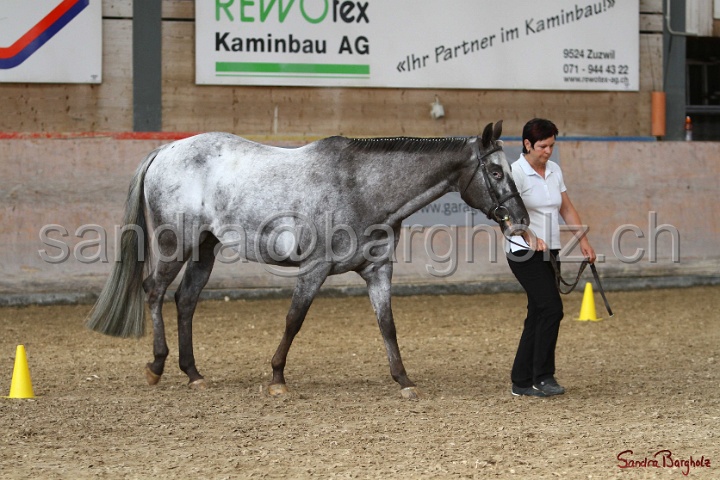 24-ApHC HIH_030.jpg